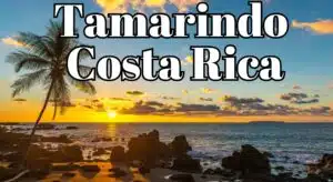 Things to Do in Tamarindo and Tamarindo Tours