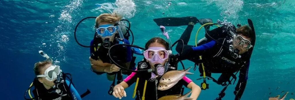 Relish in a Scuba Diving experience
