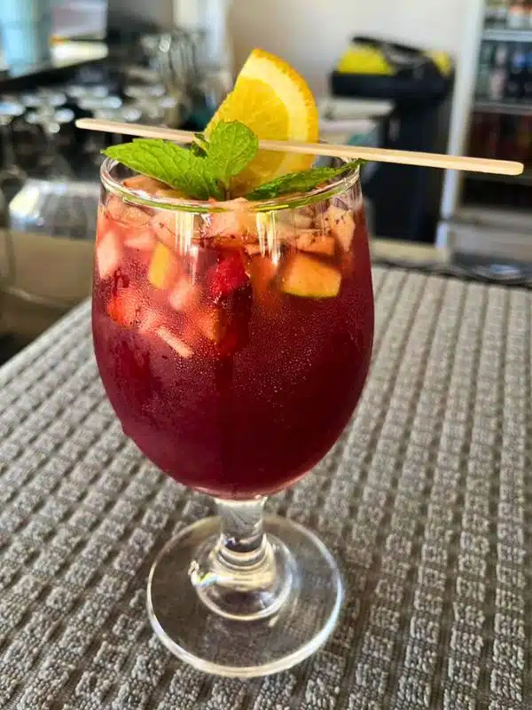 enjot freshly mixed cocktails at the la leona restaurant close to rincon de la vieja
